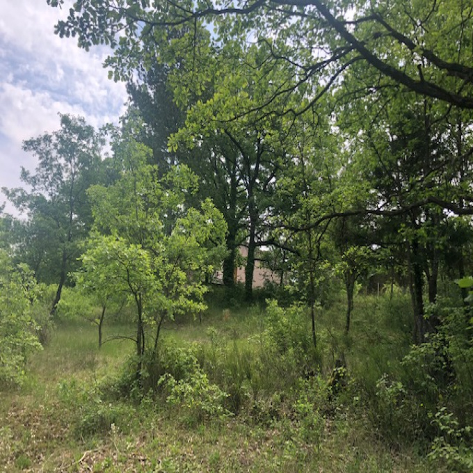 Offres de vente Terrain Montagnac-Montpezat (04500)